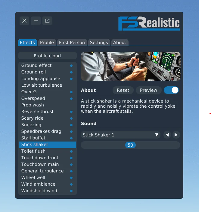 FSRealistic - Image 3